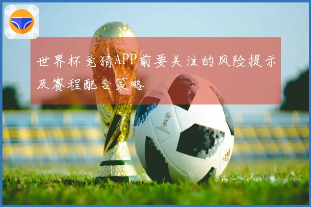 世界杯竞猜APP前要关注的风险提示及赛程配合策略