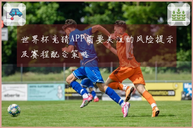 世界杯竞猜APP前要关注的风险提示及赛程配合策略