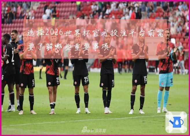 选择2026世界杯官方投注平台前需要了解哪些重要事项