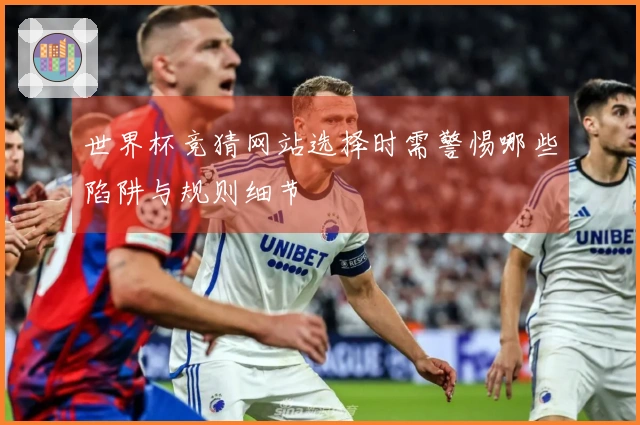 世界杯竞猜网站选择时需警惕哪些陷阱与规则细节