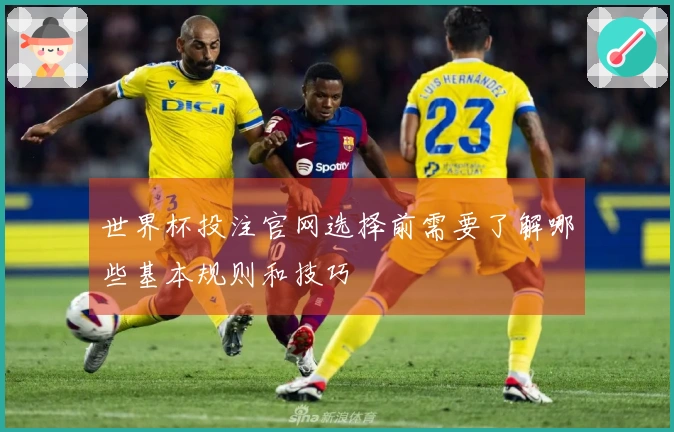 世界杯投注官网选择前需要了解哪些基本规则和技巧